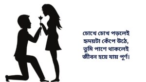 Romantic Picture HD Bangla Caption