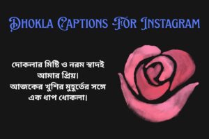 Dhokla Captions For Instagram