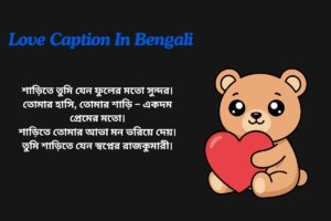 Saree Love Caption In Bengali